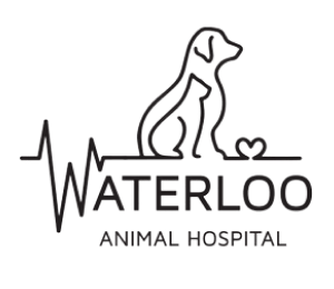 waterloo animal hospital logo